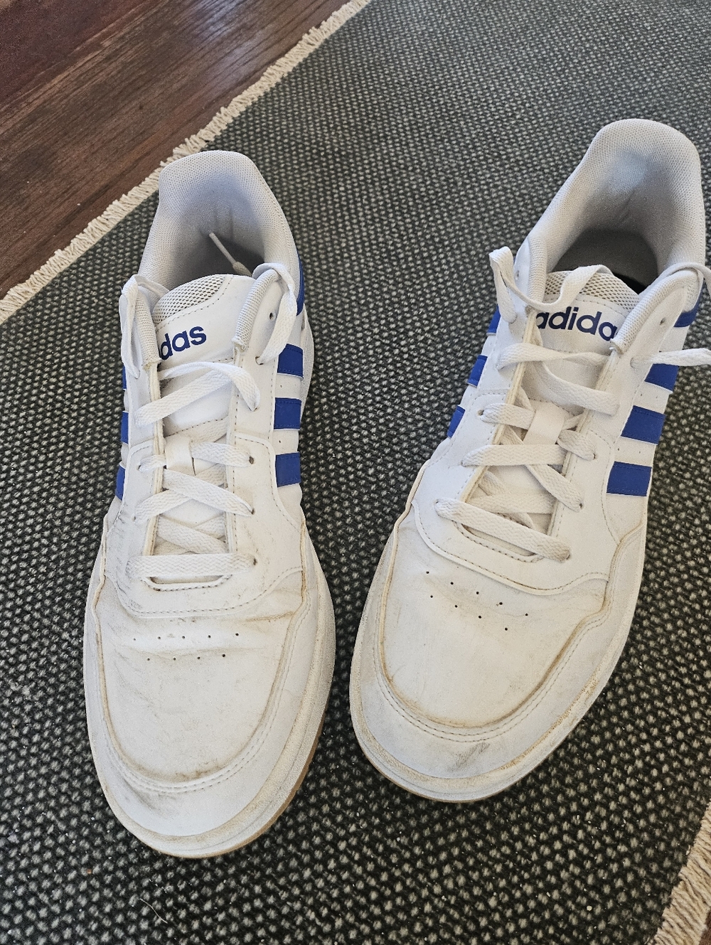 Adidas White & Blue Low-Top Sneakers